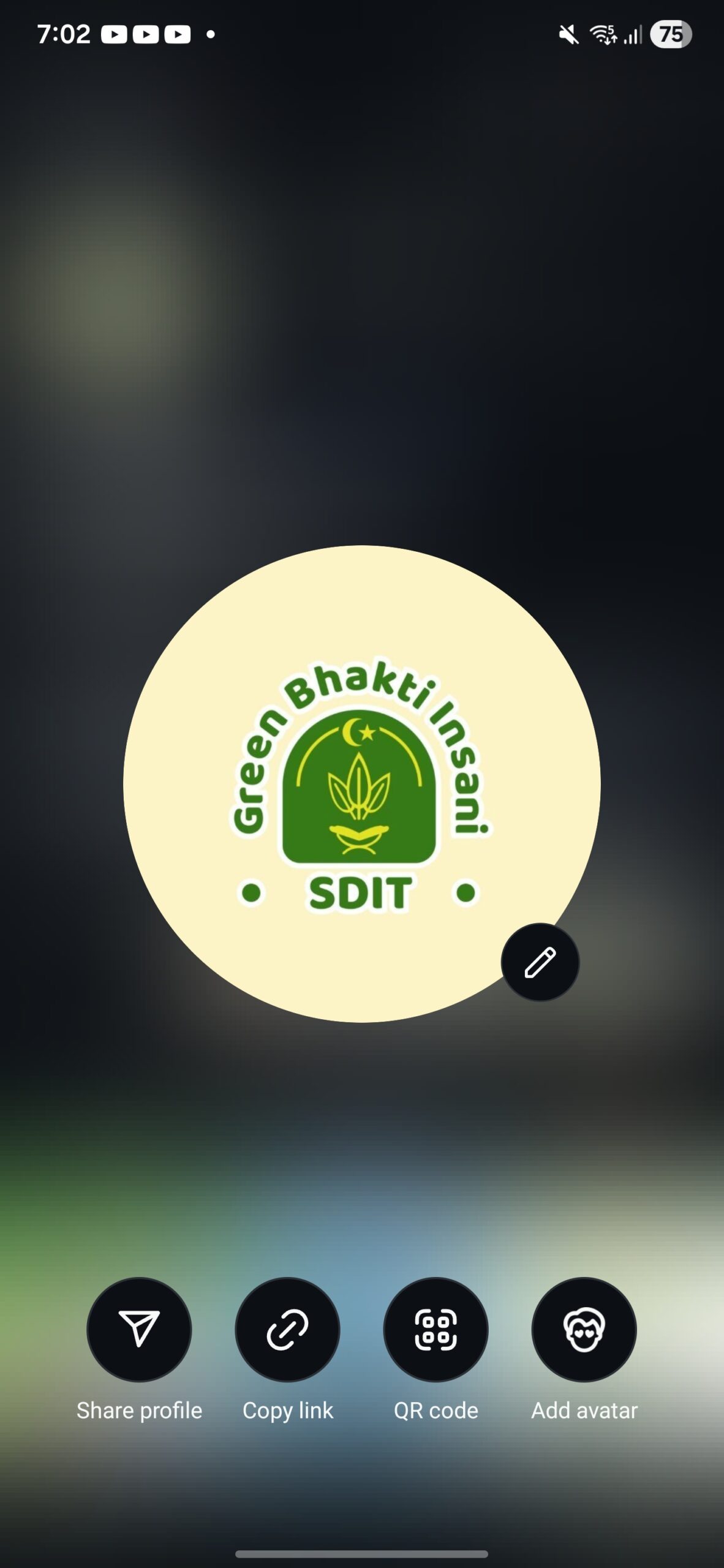 Sdit Green Bhakti Insani Logo